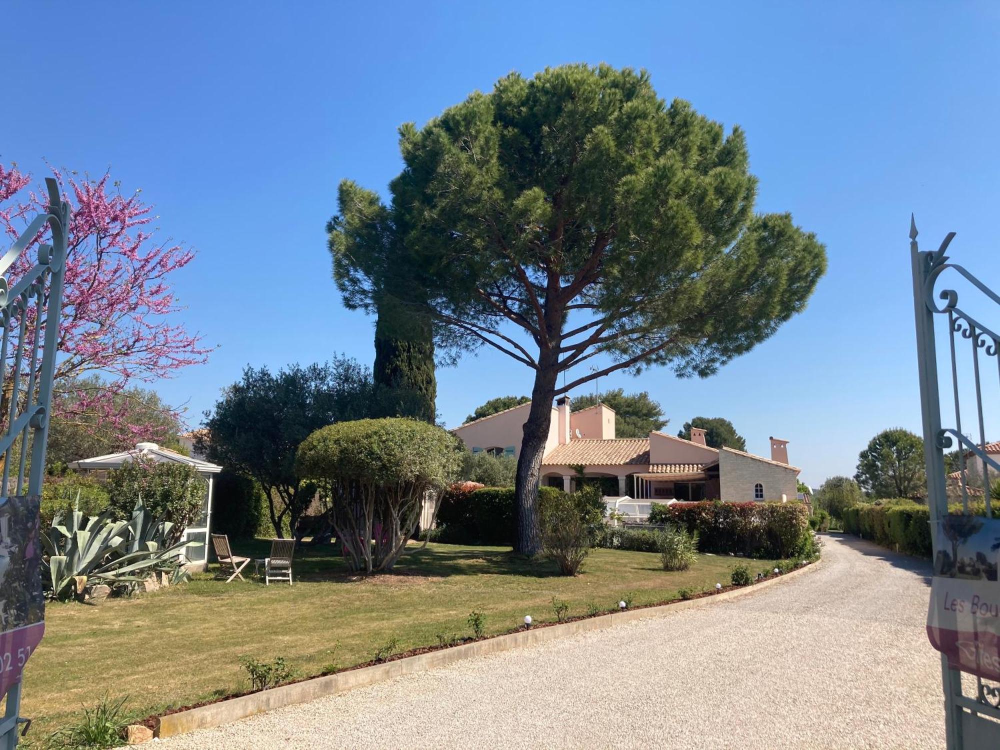 Les Bougainvillees De Camargue Villetelle Buitenkant foto