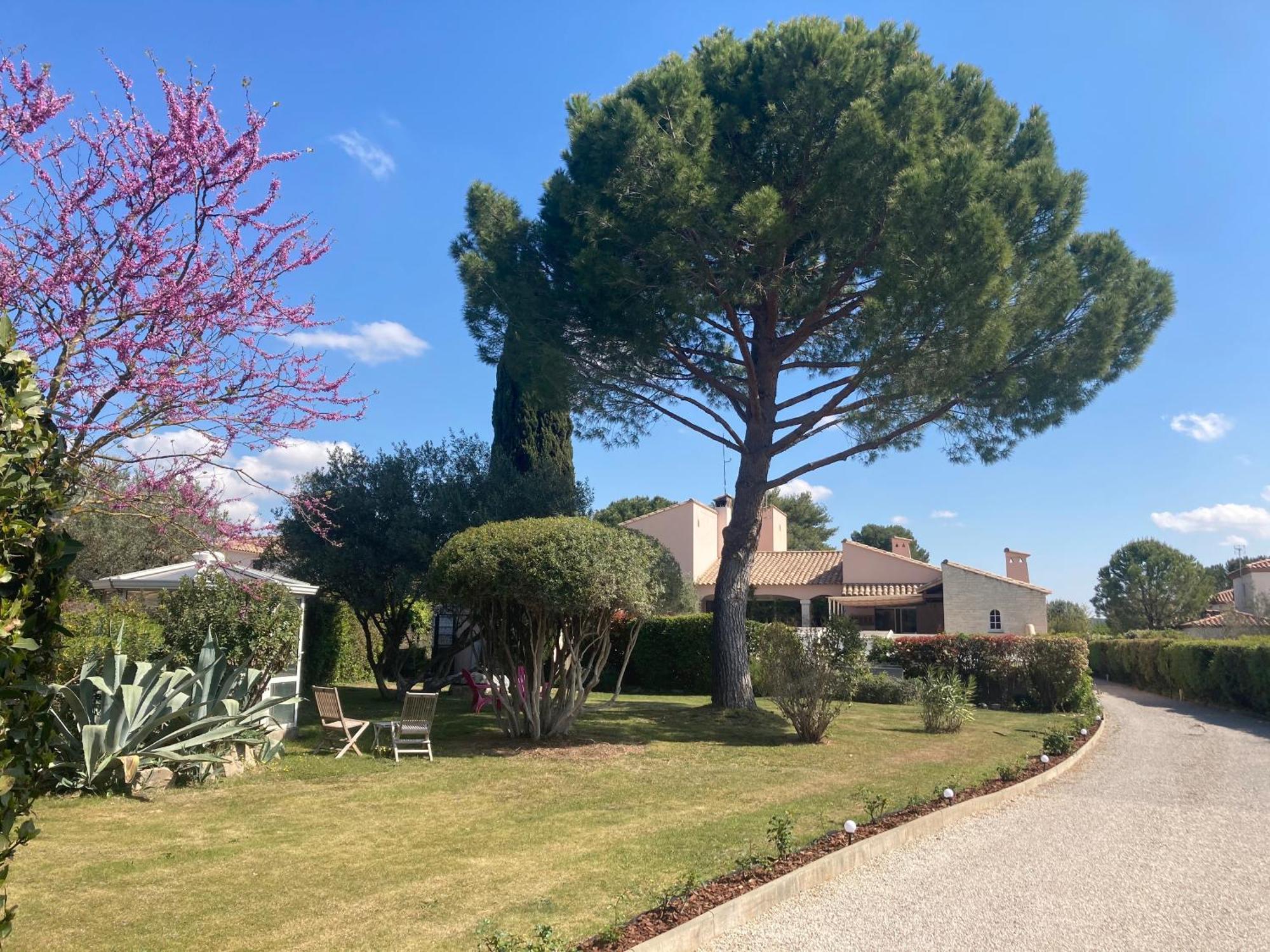 Les Bougainvillees De Camargue Villetelle Buitenkant foto